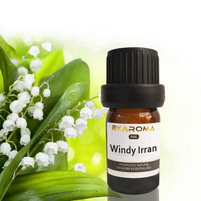 Van de de Autolucht van Ilan Aroma Diffuser Essential Oil Duurzame de Verfrissingsgeur 500ml