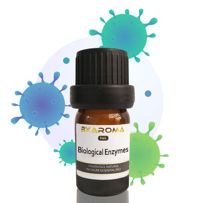 Goede prijs 500ML de Etherische olie van de aromaverspreider desinfecteert Pepermuntetherische olie online