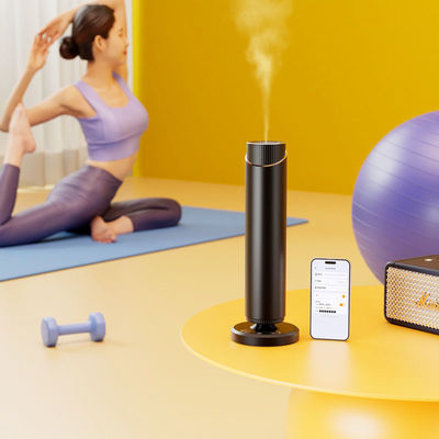 Goede prijs Aromatherapie-diffuser voor essentiële oliën met een kleine capaciteit voor spa-centra online